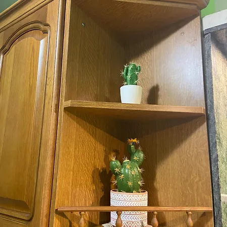 Gergana_apartament 公寓 布尔加斯